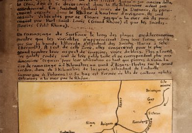 Les variolites ou la pierre à venin Les variolites ou la pierre à venin