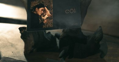 Être occultiste de métier : quels enjeux, quel quotidien, quelles conséquences   ?