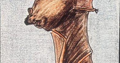 La chauve-souris : entre peur, mystères et croyances La chauve-souris : entre peur, mystères et croyances