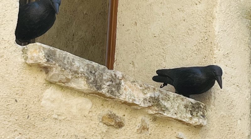 Le corbeau Le corbeau